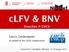 clfv & BNV LHCb Gerco Onderwater on behalf of the LHCb collaboration