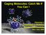Caging Molecules: Catch Me If You Can!