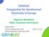 GEOELEC Prospective for Geothermal Electricity in Europe Regional Workshop Baltic Countries and Finland