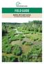 FIELD GUIDE BOREAL WETLAND CLASSES IN THE BOREAL PLAINS ECOZONE OF CANADA