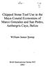 Chipped Stone Tool Use in the Maya Coastal Economies of Marco Gonzalez and San Pedro, Ambergris Caye, Belize
