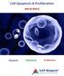 Cell Apoptosis & Proliferation