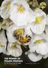 THE POWER OF POLLEN PROFILES for Planting Trees for Bees. July Linda Newstrom-Lloyd Ian Raine Xun Li