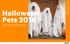 Halloween Pets Key Trends Pet owners embrace Halloween with pet outfits inspired by pop culture characters and spooky treats and toys