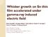 Whisker growth on Sn thin film accelerated under gamma-ray induced electric field