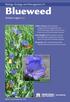 Blueweed. Biology, Ecology and Management of. (Echium vulgare L.)