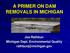 A PRIMER ON DAM REMOVALS IN MICHIGAN. Joe Rathbun Michigan Dept. Environmental Quality