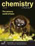 The sensory world of bees