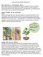 Plant Stress and Defense Mechanisms - 1