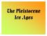 The Pleistocene Ice Ages