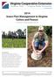 2014 Insect Pest Management in Virginia Cotton and Peanut