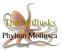 The Mollusks. Phylum Mollusca