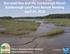 Sea Level Rise and the Scarborough Marsh Scarborough Land Trust Annual Meeting April 24, 2018