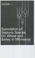 Sporulation of Septoria Species on Wheat and Barley in Minnesota