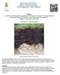 Soil of the Year 2018 Alpiner Felshumusboden (Folic Leptosol or Folic Histosol)