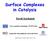 Surface Complexes in Catalysis
