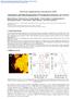 Electronic Supplementary Information (ESI) Adsorption and Dehydrogenation of Tetrahydroxybenzene on Cu(111)