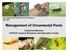 Management of Ornamental Pests Catharine Mannion UF/IFAS Tropical Research and Education Center