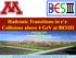 Hadronic Transitions in Collisions above 4 GeV at BESIII Jianming Bian University of Minnesota