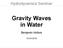 Gravity Waves in Water