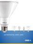 LED PROFESSIONAL SERIES LAMPS