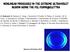 NONLINEAR PROCESSES IN THE EXTREME ULTRAVIOLET REGION USING THE FEL