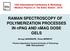 RAMAN SPECTROSCOPY OF POLYMERIZATION PROCESSES IN npag AND nmag DOSE GELS