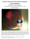 Current Research in Gravito-Electromagnetic Space Propulsion