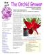 Orchid Growers Guild of Madison FROM THE PRESIDENT, NEXT MEETING MAY 21, OLBRICH GARDENS INSIDE THIS ISSUE. Website orchidguild.