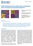 HybriD Piezoresponse Force Microscopy: compositional electro-mechanical study of biopiezoelectrics