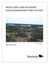 WOOD SUPPLY ANALYSIS REPORT SASKATCHEWAN RIVER FOREST SECTION