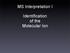 MS Interpretation I. Identification of the Molecular Ion