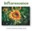 Inflorescence. A plant molecular biology game