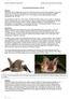Long eared bat hybridization in the UK