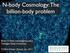 N-body Cosmology: The billion-body problem. Brian O Shea Michigan State University