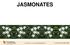 JASMONATES American Society of Plant Biologists