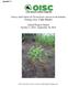 Survey and Control of Chromolaena odorata in the Kahuku Training Area, O ahu, Hawai i. Annual Progress Report October 1, 2014 September 30, 2015