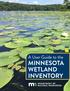 A User Guide to the MINNESOTA WETLAND INVENTORY