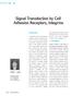 other cell adhesion receptors can play important roles or be involved in the processes and recent outstanding reviews are also available (1, 2).
