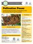 Pollination Power. Understanding the Role of Pollinators in the Environment and Food Production. At a Glance. Description of Lesson