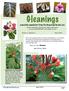Gleanings. a monthly newsletter from The Gesneriad Society, Inc. Volume 4, Number 3 March 2013