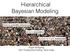 Hierarchical Bayesian Modeling