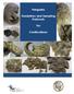 Pangolins. Guidelines and Sampling Protocols. For. Confiscations
