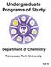 Undergraduate Programs of Study