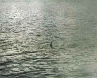 In 1979, Alastair Boyd saw a large animal in the lake.