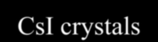 E_IC CsI crystals IMP has developed