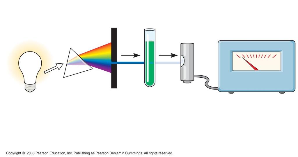 White light Refracting prism Chlorophyll solution Photoelectric tube 0 100 Slit moves to pass light of selected