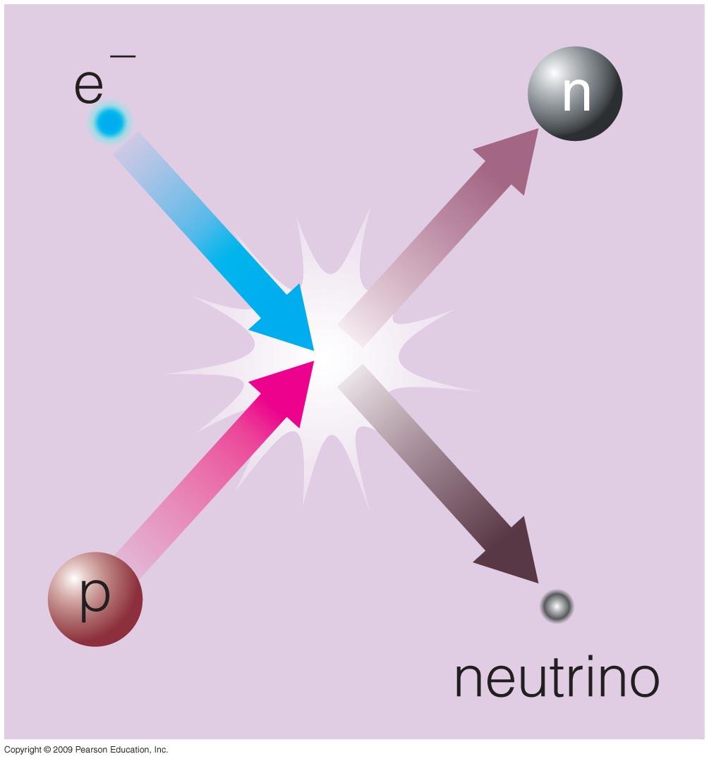 Birth of a Neutron Star In the core, nuclei are smashed into protons & neutrons; the protons combine with electrons to make