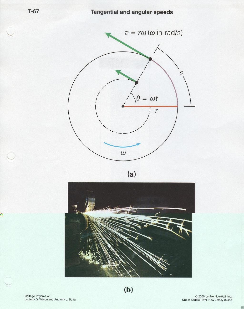 Angular Speed and Velocity a) Tangential and angular speeds are related by v = rω, with ω in radians per second. Note, all of the particles rotating about a fixed axis travel in circles.