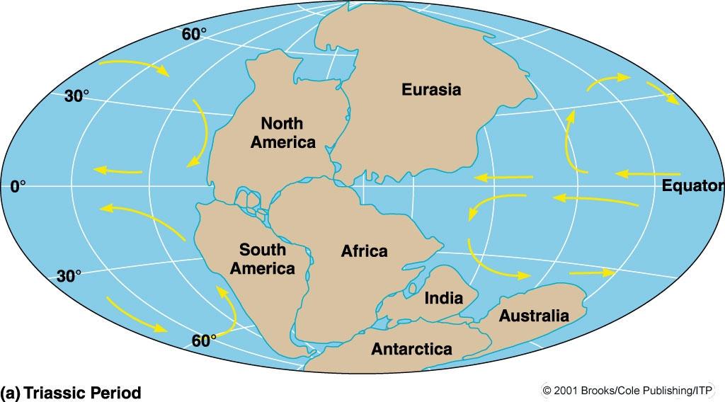 Oceanic Circulation Evolved From a simple pattern in a